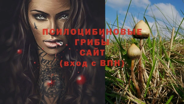 герыч Алзамай
