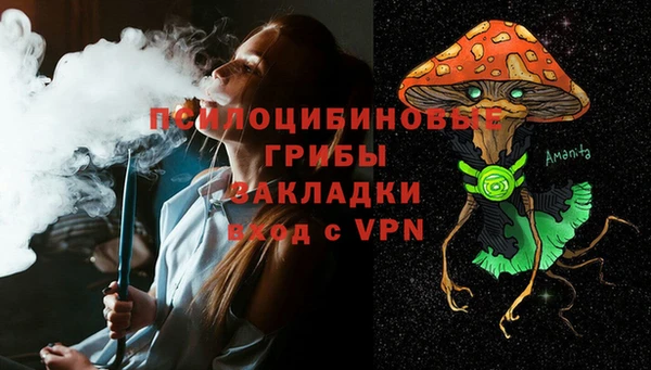 spice Алексин