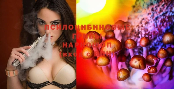 spice Алексин
