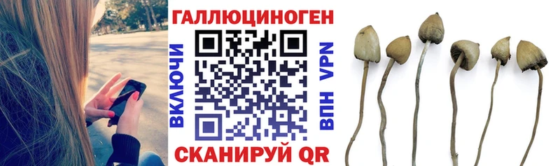 Галлюциногенные грибы мухоморы  Белореченск 