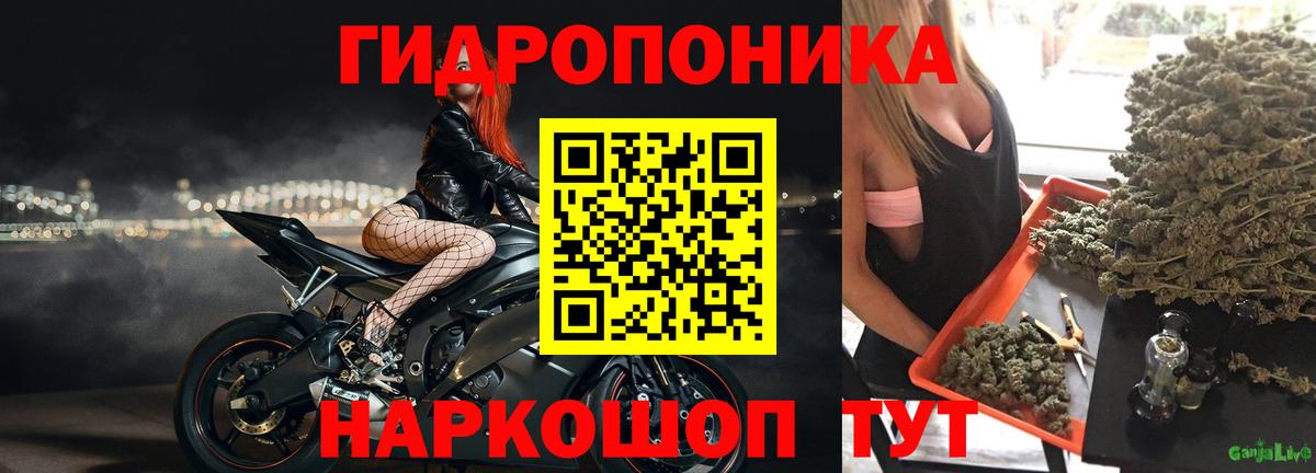 Каннабис LSD WEED  Марихуана THC 21%  Белореченск  Бошки марихуана семена  Конопля AK-47  Вход с VPN 